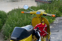 IMG-20240829-WA0000
